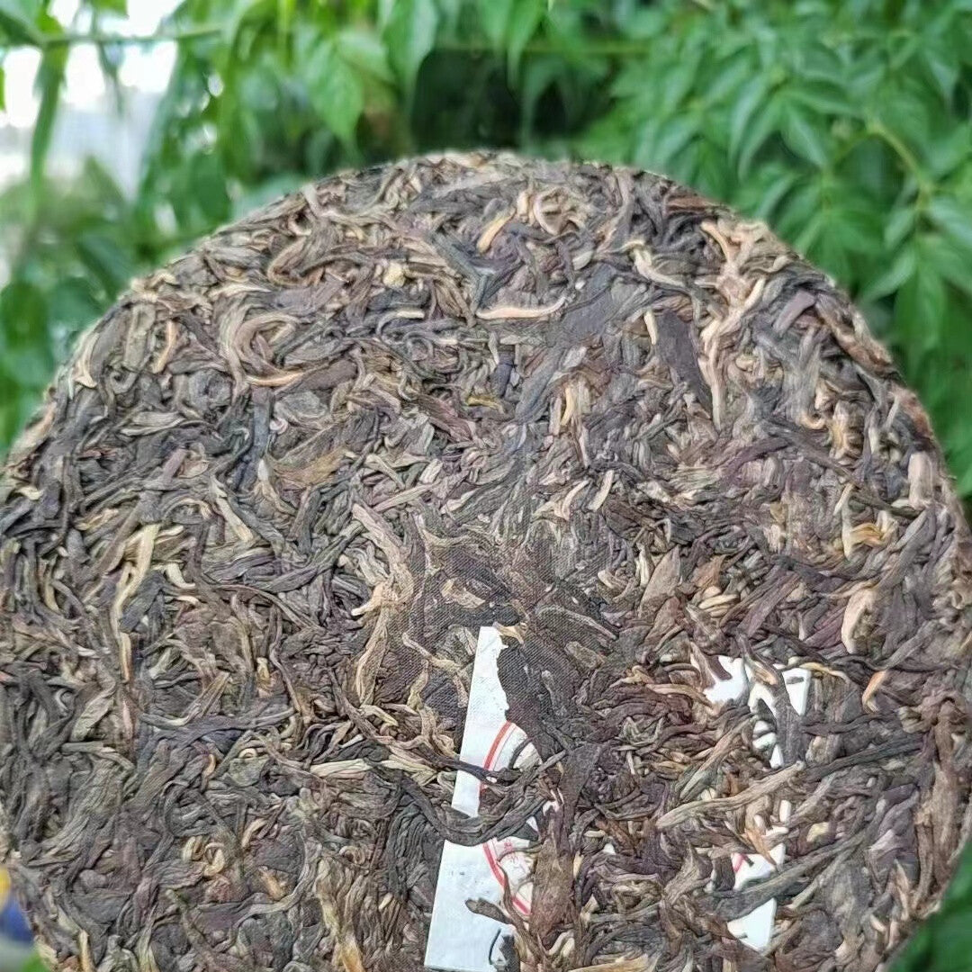 357g Yunnan Premium Raw Puerh Tea 2013 Bingdao Big Tree Aged Pu'er Raw Tea Cake