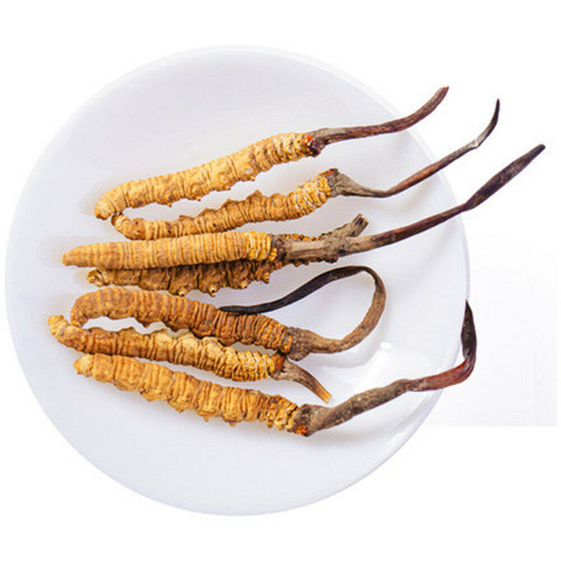 HelloYoung Wild Cordyceps 5g 10-15pcs Himalaya Herbal Tea Energy Boost Daily