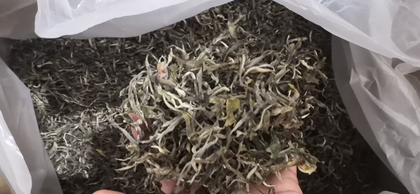 500g Old Tree Puerh Loose Tea Own Ancient Tea Plantation Raw Ancient Tree Puerh