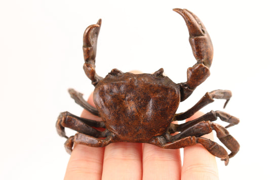 Chinese copper crab Statue figure table decoration fortune art tea pet gift