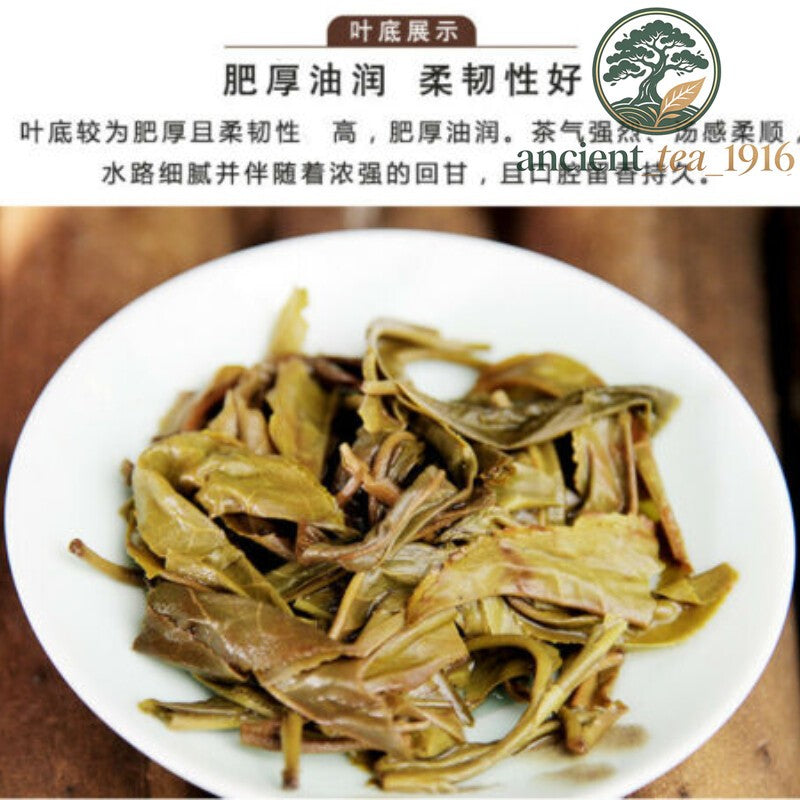Yunnan Menghai Raw Pu'er Tea Brick Early Spring Old Puerh Tea 250g