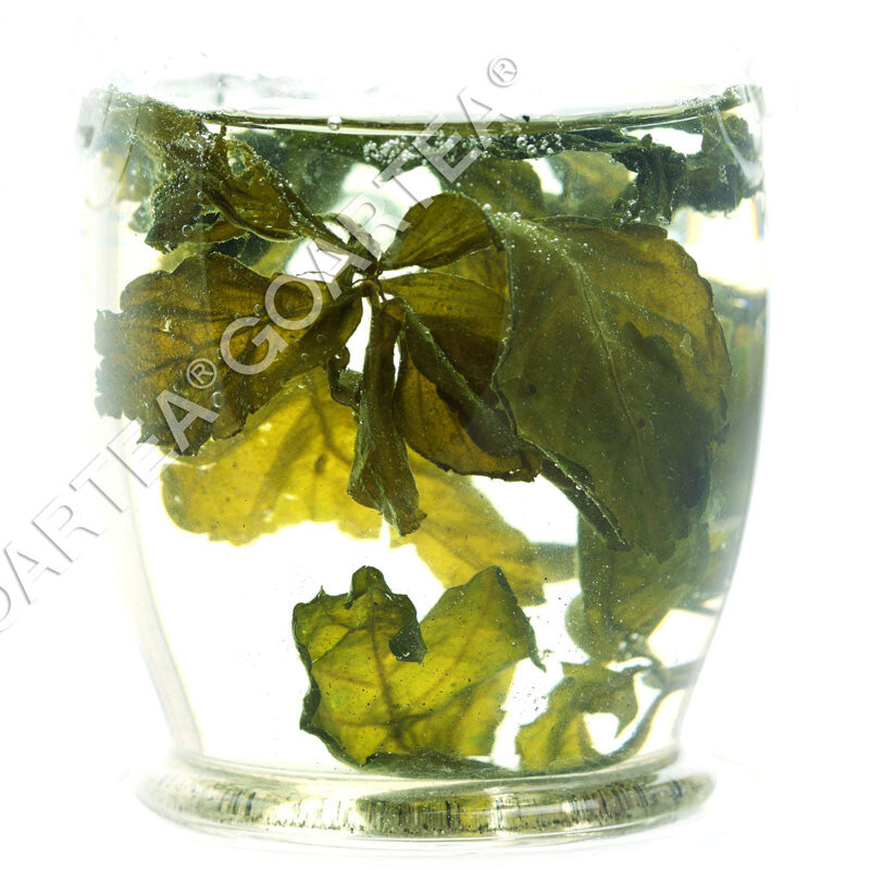 GOARTEA 250g Premium Jiaogulan Tea Gynostemma Pentaphyllum Herbal Tea Green Tea-