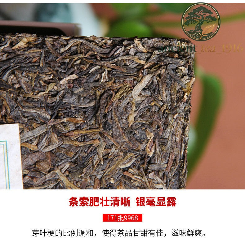 250g Yunnan Hai Wan Green Puer Tea Haiwan Old Comrade 2017 Sheng Pu Er 9968