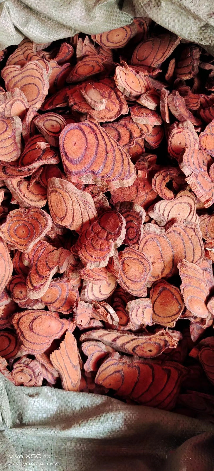 Caulis spatholobus Chinese medicinal products natural