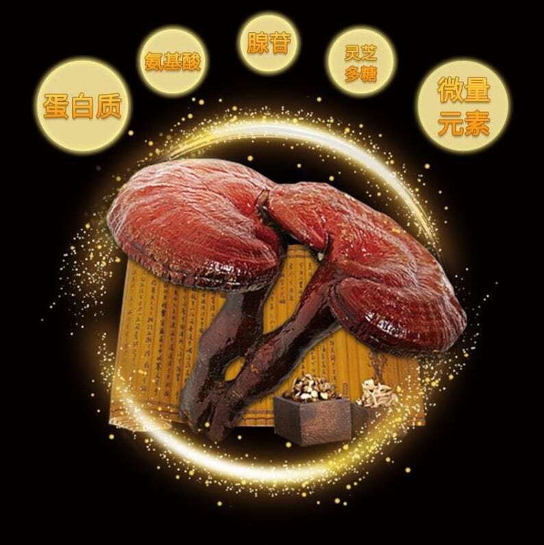 100% Pure Powder Of Ganoderma lucidum spores, Ganoderma spore, lingzhi spore