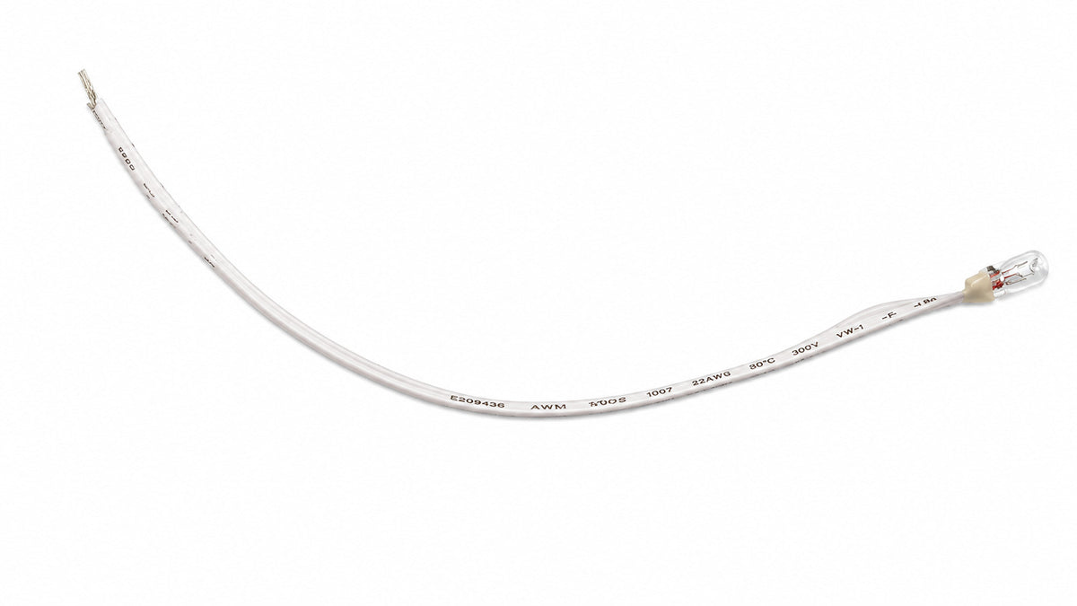 12V Incandescent Lamp with 6" Leads10 pack