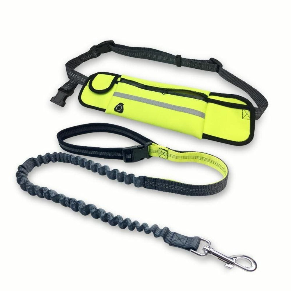 Shock Absorbing Bungee Dog Leash with Waist Bag - Hands-Free