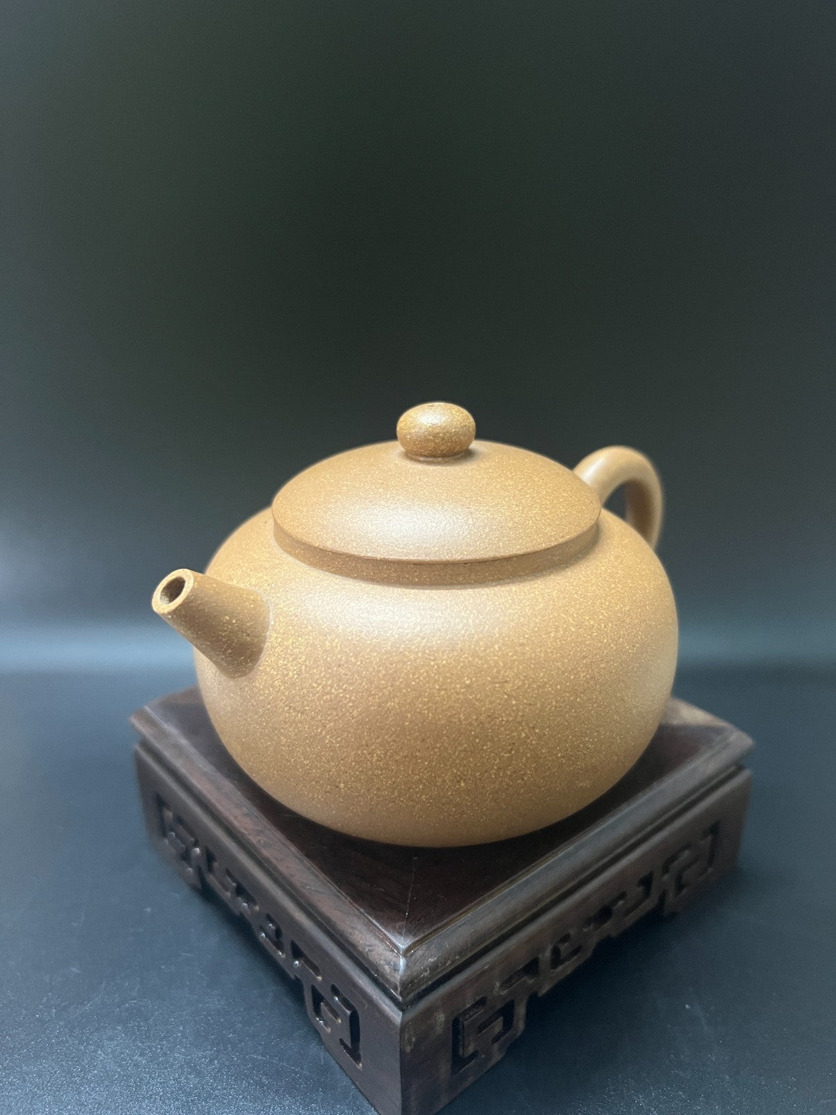 220cc chinese Yixing Handmade Zisha teapot Duan Clay XiShi Gongfu Hu Tea Pot