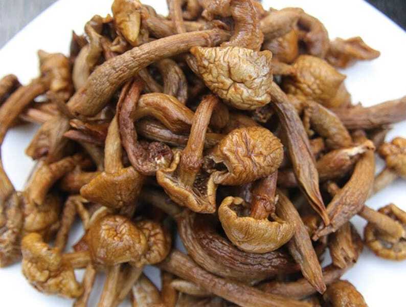 Recommend Pholiota Nameko Premium Dried Nameko Mushroom Very Delicious