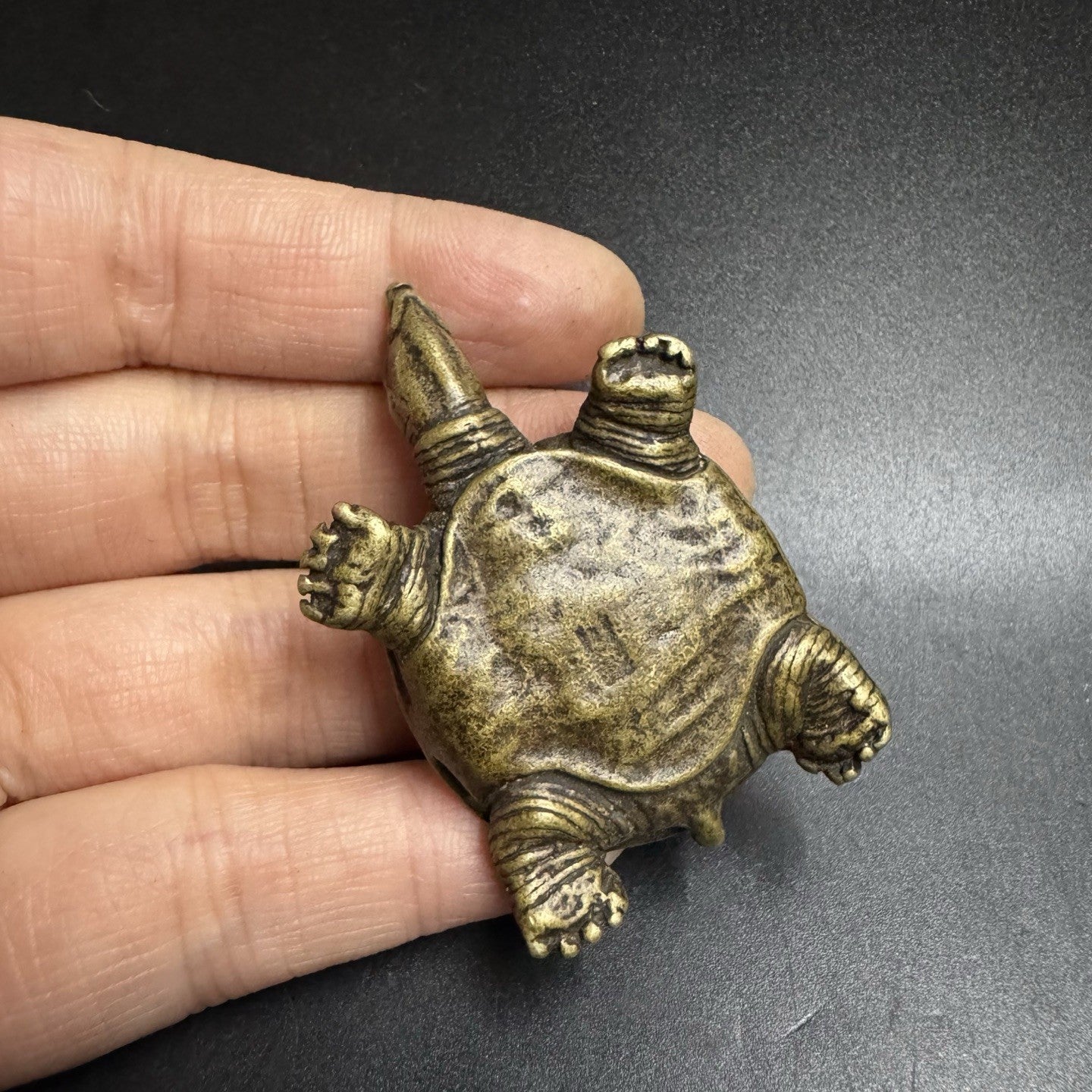 Mini Brass Turtle/Softshell Turtle Figurine Chinese Tea Pet Retro Collectible