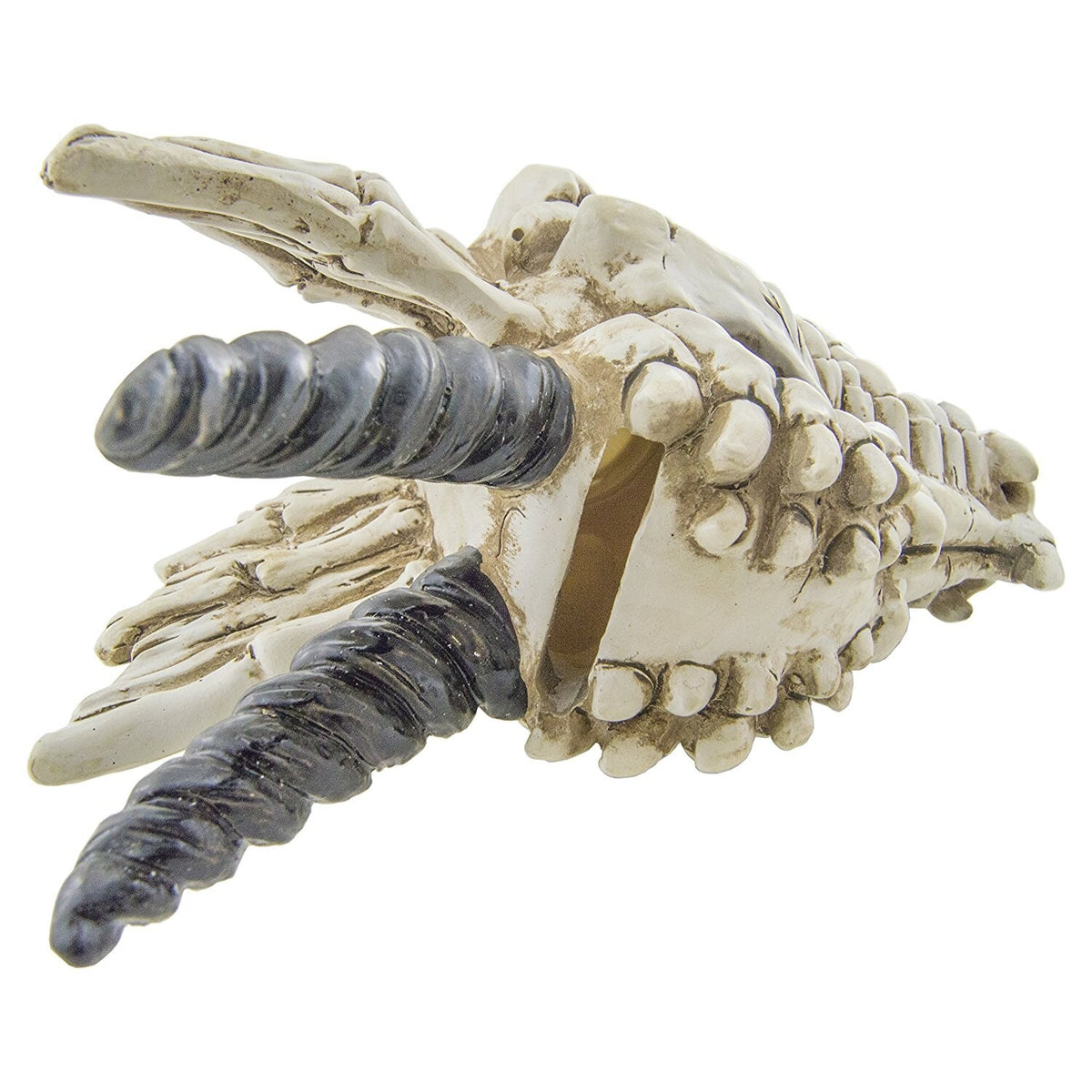 Snarling Magical Dragon Skull Creepy Coin Piggy Bank Polyresin Stash Storage Box