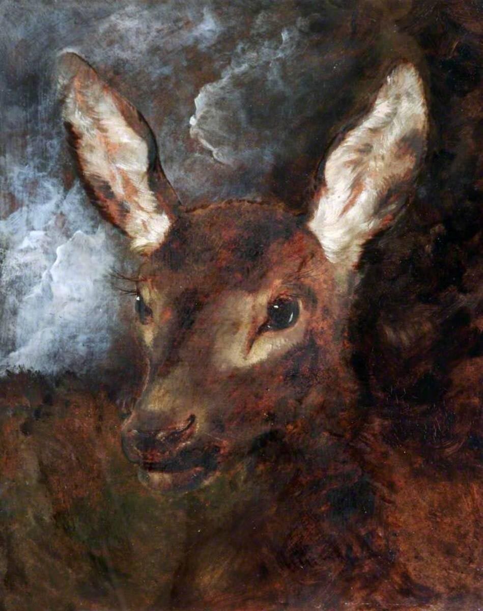 Oil painting Sir-Edwin-Henry-Landseer-Head-of-a-Hind animal hand painted canvas