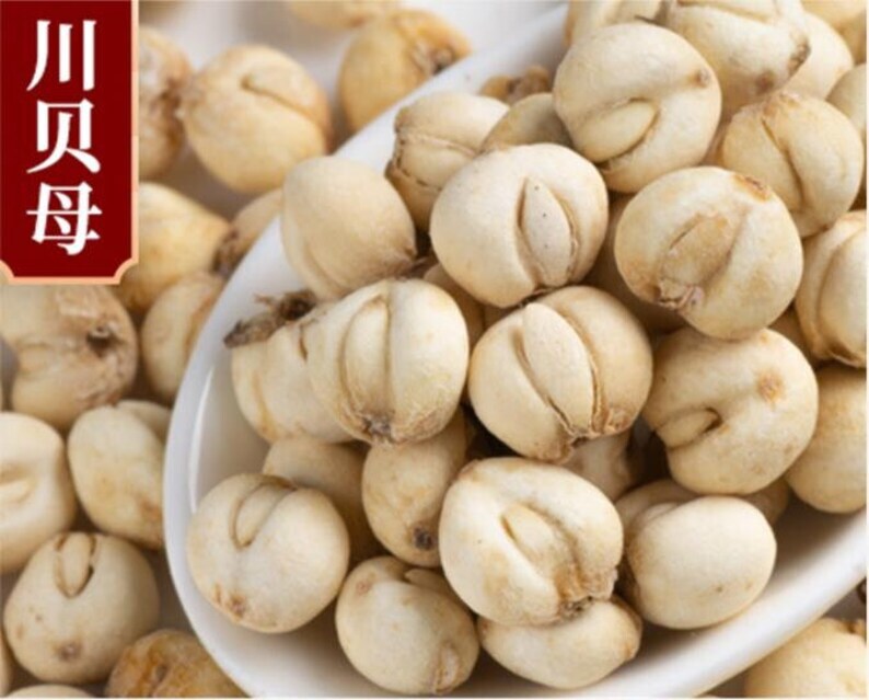 500g ORGANIC Wild Chuan Bei Mu Powder Fritillaria Cirrhosa Powder Chinese Herbal