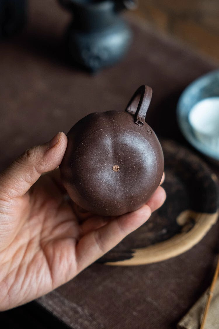 120cc chinese Yixing Handmade Zisha teapot Purple clay QieZi Hu Gongfu Tea Pot
