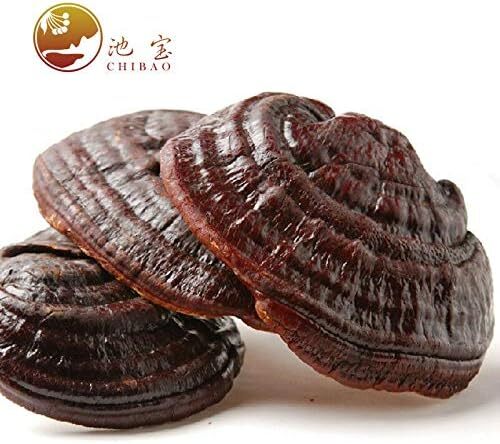 Natural Lingzhi Lucidum Tea Health Dried Red Reishi Mushrooms Ganoderma 500g