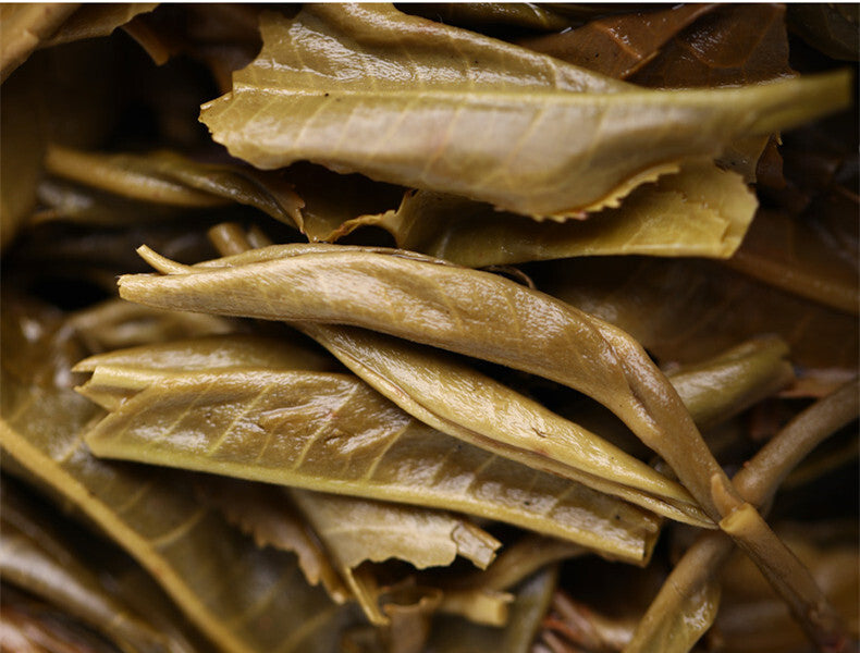 Haiwan High Mountain Ancient Tree 2019 Old Comrade Batch 191 Raw Puer Tea 500g