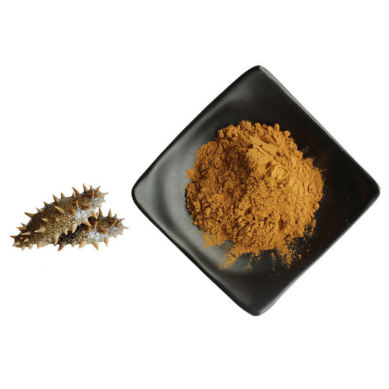 100g~500g Sea Cucumber Extract 10:1 Powder Hai Shen