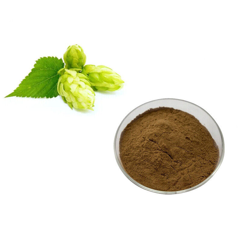100g~500g Pure Hops Strobile Extract Powder 30:1 Humulus Lupulus Hops