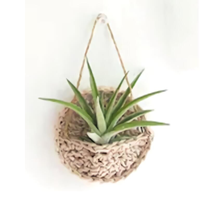 Air Plant Holder Cotton Hand Weaving Multicolor Macrame Bohemian Planter 10-15cm