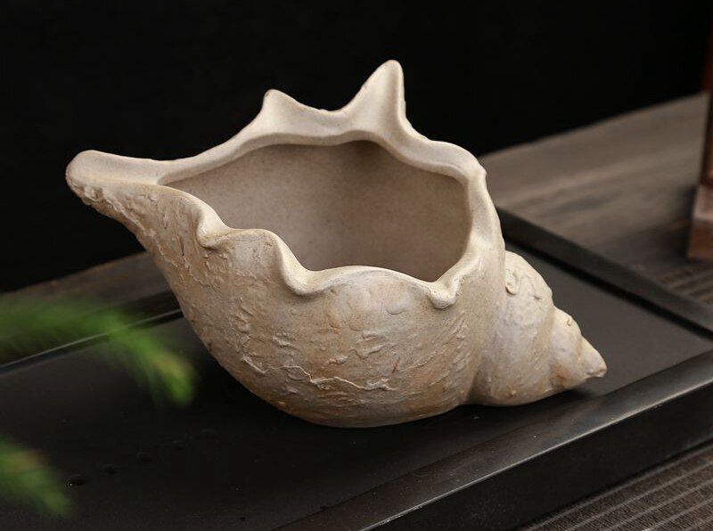 Flower Pot White Pottery Shell Shaped Succulent Plant Holder 21.5x11.5cm Ceramic