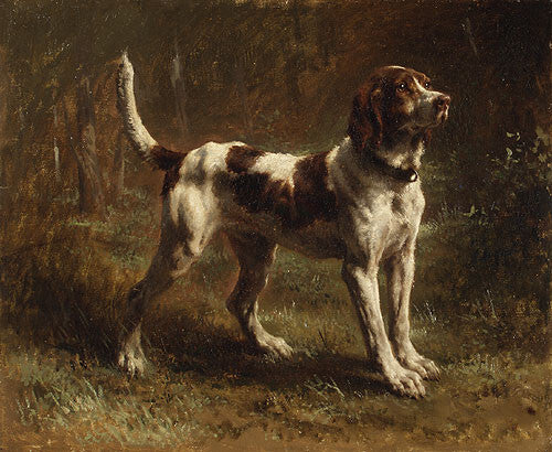 high quality oil painting 100% handpainted on canvas " Hound"