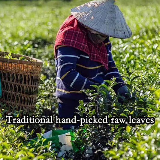 Taiwanese High Mountain Milk Oolong Tea Jinxuan Oolong Loose Leaf Milk Tea