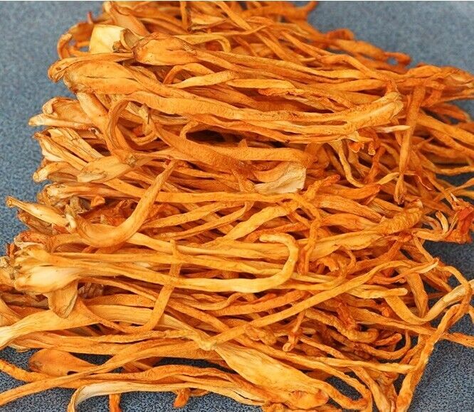 Dry China Jincong Caocao Cordyceps military Cordyceps flower herbs-