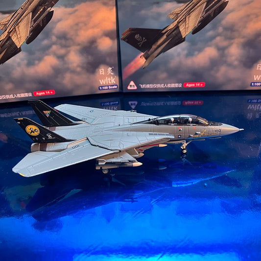 1:100 F-14B Male Cat Fighter Metal Model Wing Variable Bomb Cat Painting