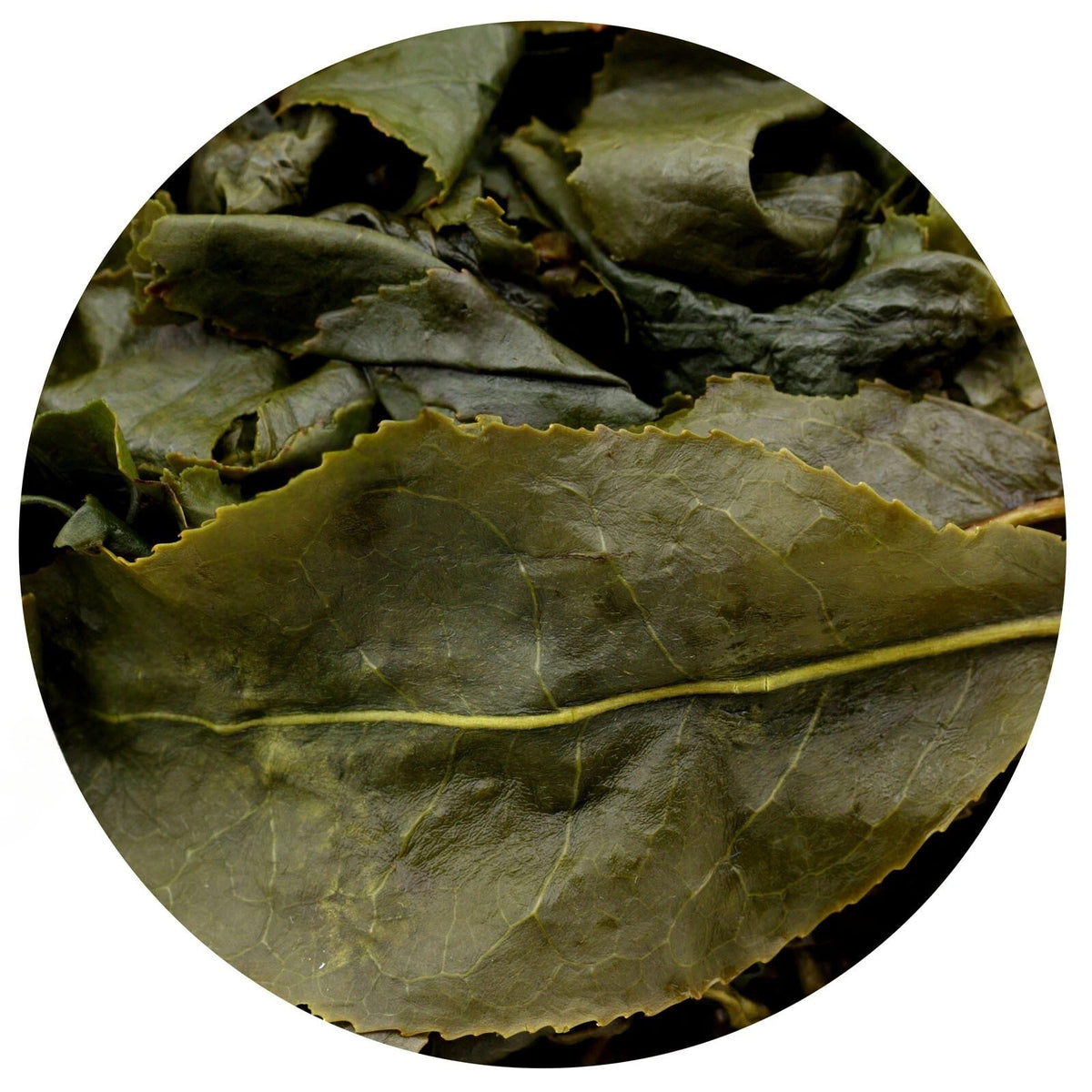 500g Supreme Taiwan Dongding Oolong Tea High Mountain Tung-ting Green Loose