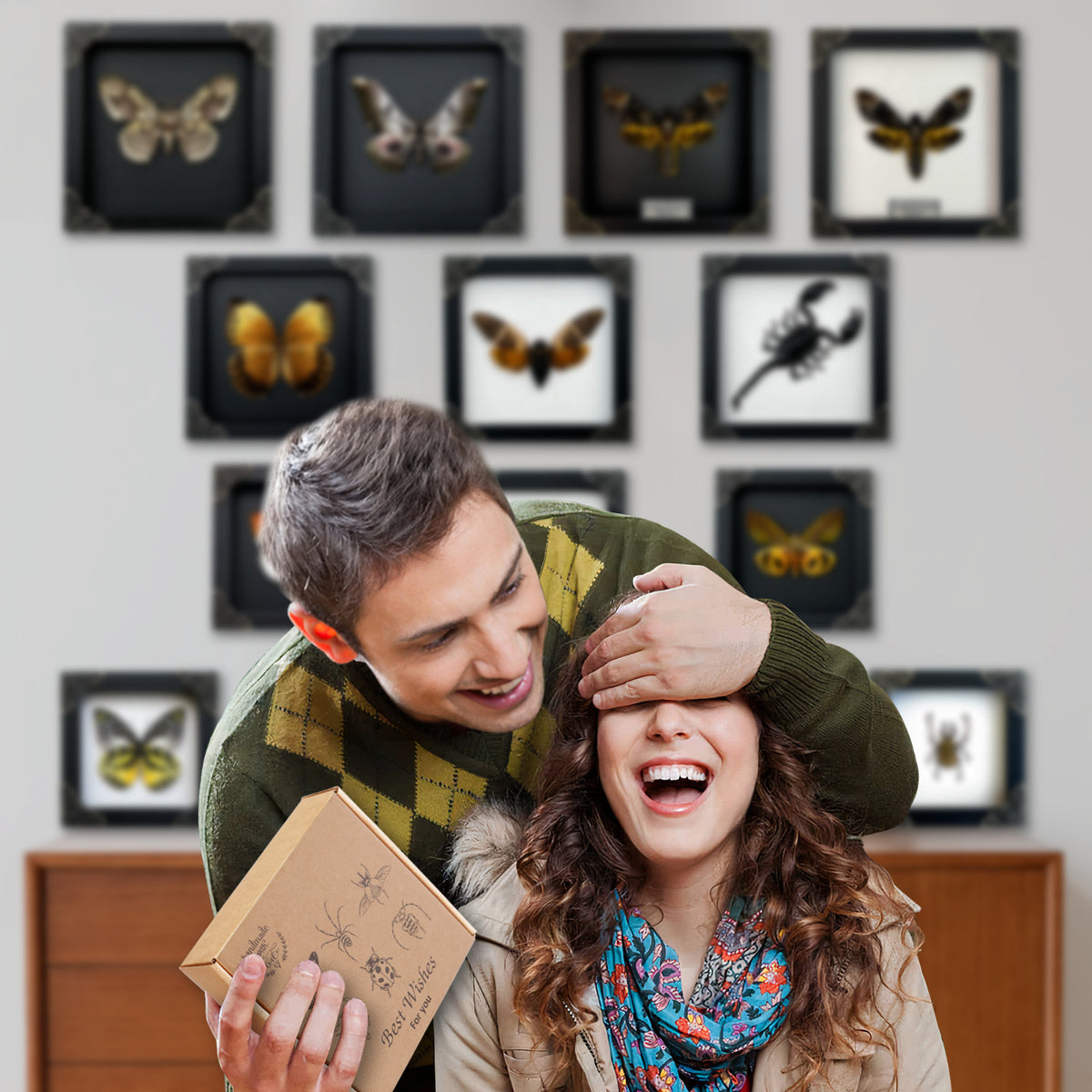 Real Butterfly Mounted Box Framed Insect Taxidermy Entomology Collection