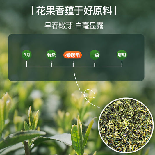 EFUTON Ming Qian Bi Luo Chun China Green Tea Snail Spring Tea BiLuoChun 250g