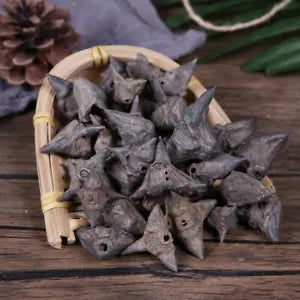 Organic Herbal Water Caltrop Trapa Bispinosa Ling Jiao Great Quality