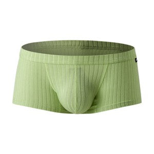 Sexy Men's Underwear Low Waist Briefs U Pouch Striped Shorts Underpants