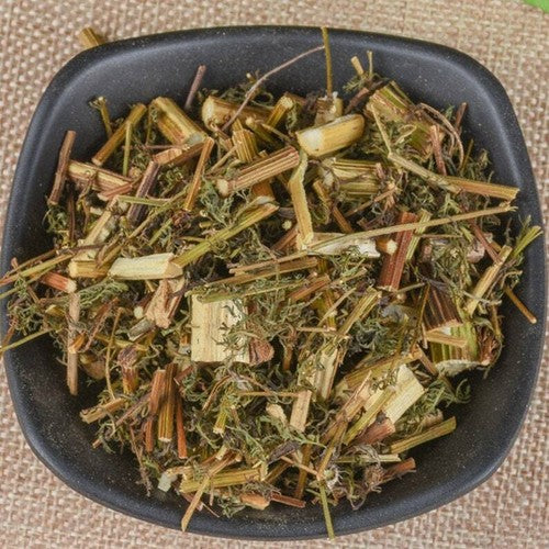 Organic Sweet Wormwood Herb Premium Artemisia Annua Qinghao Great Quality