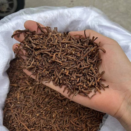 Loose-leaf herbal tea dandelion root蒲公英