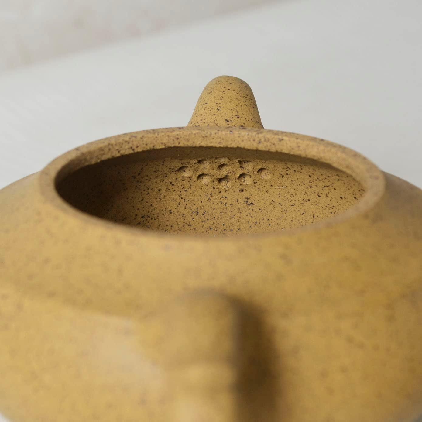 Chinese Zisha Teapot Yixing Clay Sesame Mud Tea Pot for Home Office (Pumpkin)