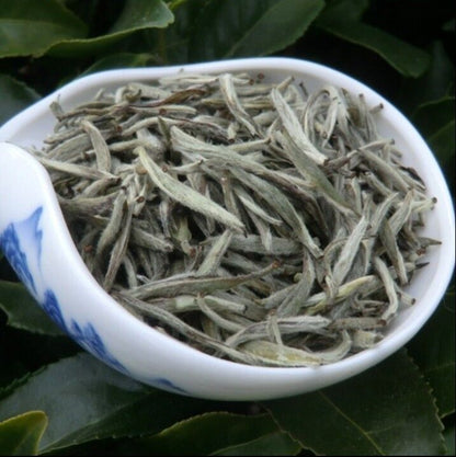 1.1 pounds Supreme Bulk Bai Hao Yin Zhen, Silver → r needle white tea loose leaf tea 500 grams- Buy Our Tea