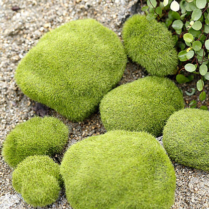 1 Pc Stone Moss Miniatures Garden Ornaments Crafts Fairy Bonsai Plant Decoration Buy Our Tea