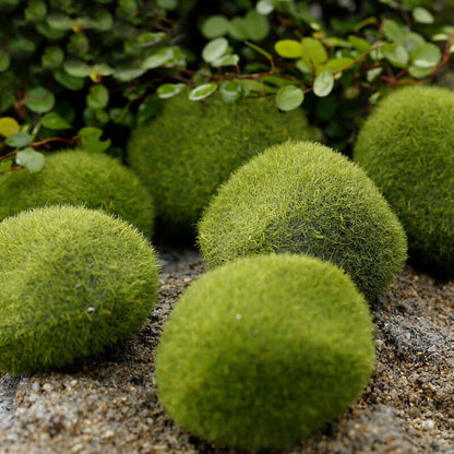 1 Pc Stone Moss Miniatures Garden Ornaments Crafts Fairy Bonsai Plant Decoration Buy Our Tea