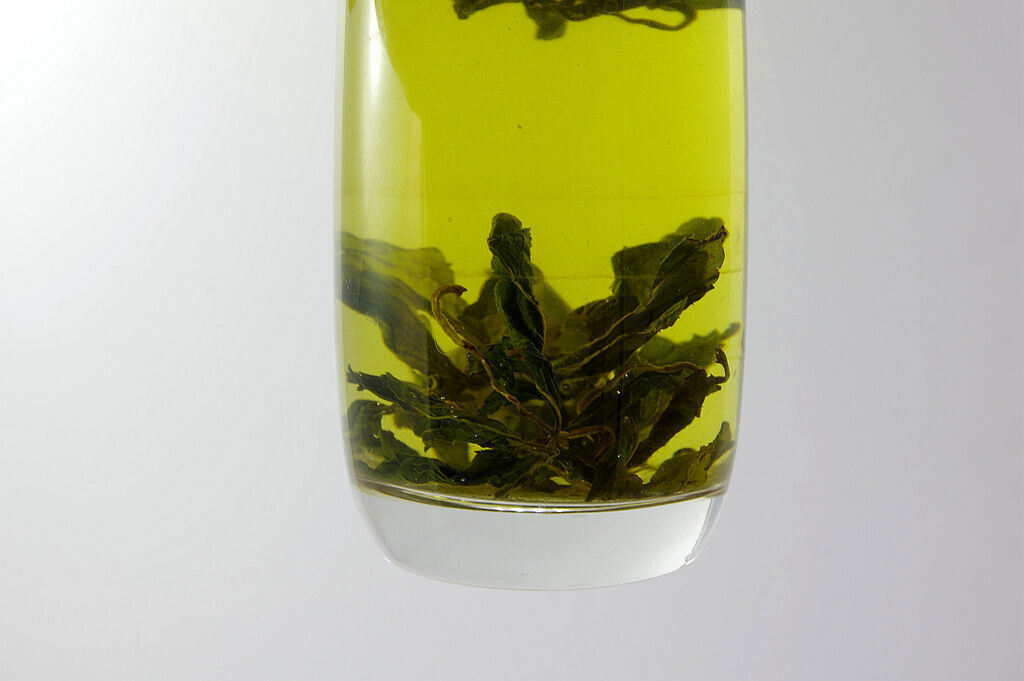 1 kg JIAO GU LAN TEA,JiaoGuLan tee,gynostemma pentaphyllum,China Fiveleaf Herbal Buy Our Tea