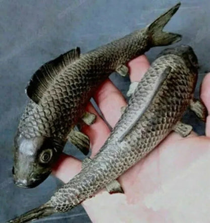 1 pair (Two) Ancient Japan pure Bronze sculpture Vivid cyprinoid carp Fish