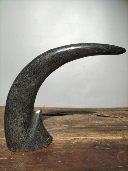 10"Tibetan Temple Collection Old horns horn part keep us safe Gather fortune ornament Worship Hall Town house Exorcism