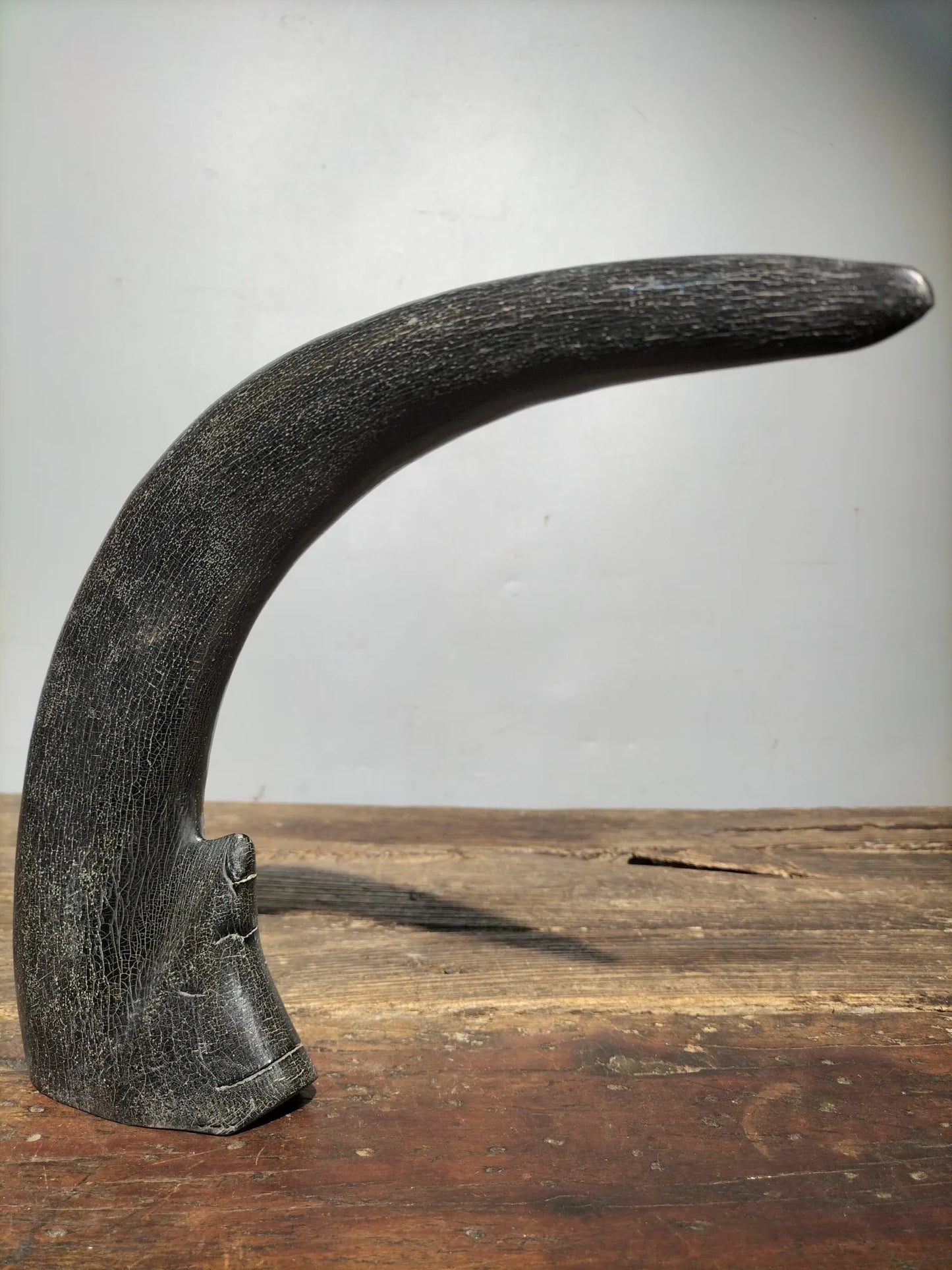 10"Tibetan Temple Collection Old horns horn part keep us safe Gather fortune ornament Worship Hall Town house Exorcism