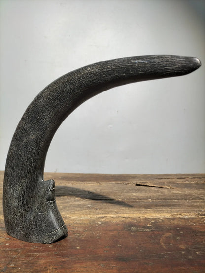 10"Tibetan Temple Collection Old horns horn part keep us safe Gather fortune ornament Worship Hall Town house Exorcism