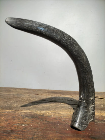 10"Tibetan Temple Collection Old horns horn part keep us safe Gather fortune ornament Worship Hall Town house Exorcism