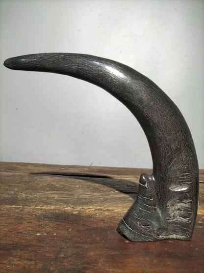 10"Tibetan Temple Collection Old horns horn part keep us safe Gather fortune ornament Worship Hall Town house Exorcism