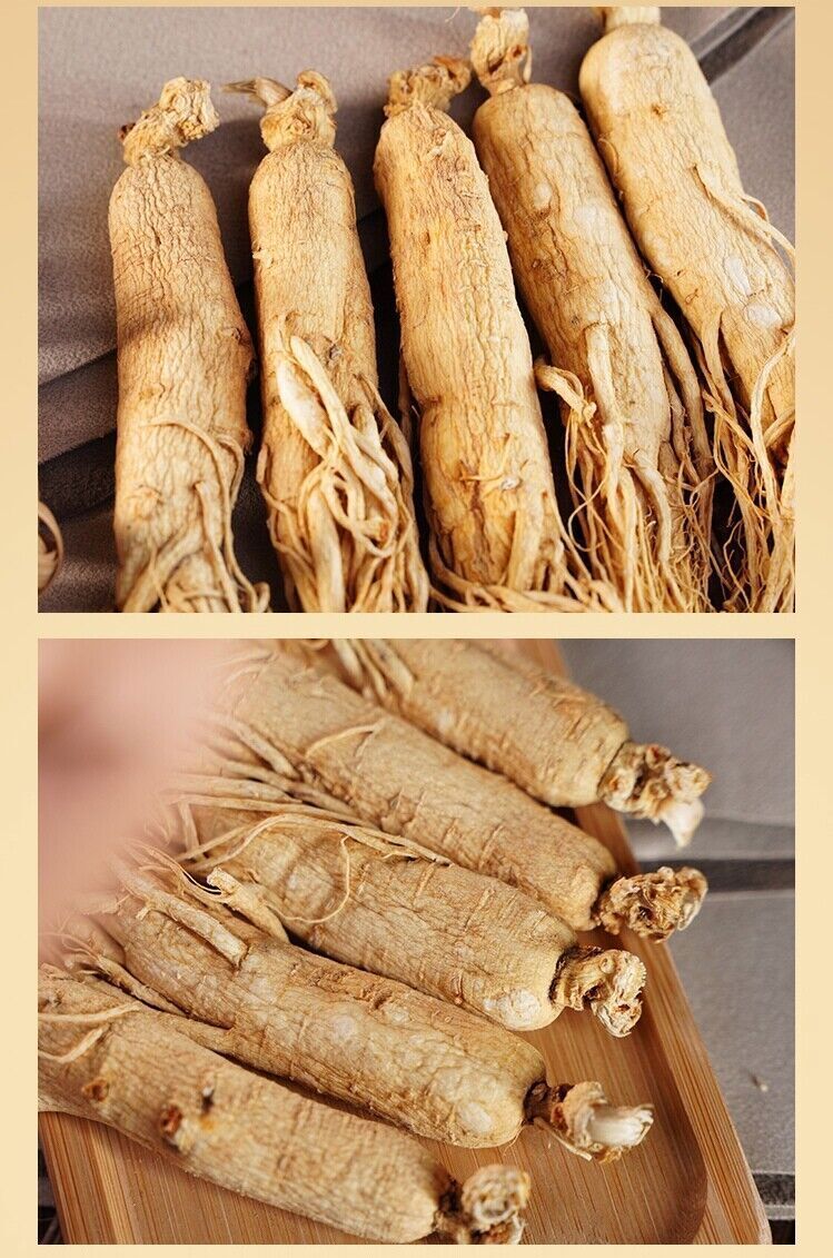 Asian Panax Korean White Ginseng Root,China Herbal Tea,Whole Ren shen roots 白人參