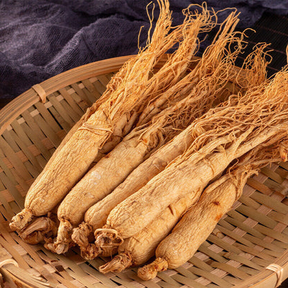 WHOLE Panax Korean White Ginseng Roots,Top MAN SEX Herbal,CHINESE Bai Ren Shen