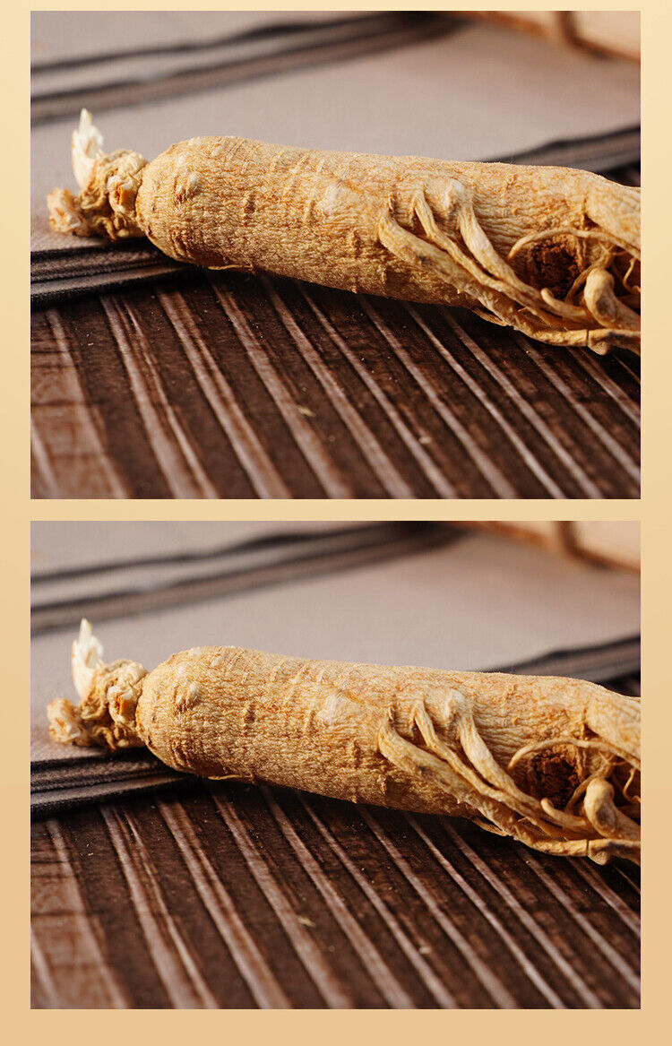 Changbai Mountain Dried white Ginseng Root years whole roots chinese herbal 白人參