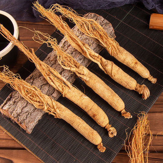 whole Panax Korean White Ginseng Root,CHINA Top big Herbal CHINESE Bai Shen 白人參